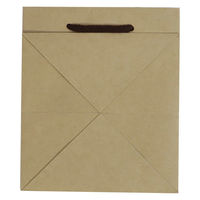 【紙袋】クラフトバッグ 真四角型 Mサイズ 1パック（10枚入 ）ハピラ（わけあり品）