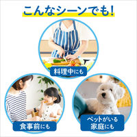 ビオレu 薬用泡ハンドソープ 詰め替え 770mL 無香性 1個 【泡タイプ】 花王