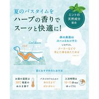 【数量限定】 入浴剤 クール クナイプ バスソルト スーパーミントの香り ボトル 850g 1個 クナイプジャパン