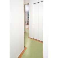 サンコー おくだけ吸着 ロングマット 60×200cm グリーン 撥水 洗える 日本製 床暖房対応 カット可能 ペット 犬 猫 KH-66 1個