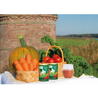 【機能性表示食品】ゴールドパック 北海道野菜100％（ストレート）ジュース GABA 160g 1セット（40缶）