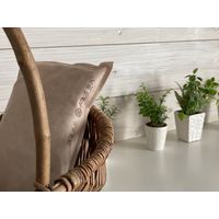 炭八 調湿木炭 1L タンス用 ベージュ 1個 出雲カーボン