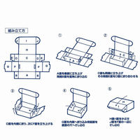 シモジマ ナチュラルBOX Zー21 プレート1枚用 006202110 1束(10枚)