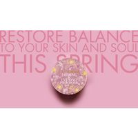 STEAMCREAM（スチームクリーム） ジャスミン＆月見草 75g ギフト　保湿