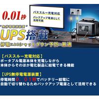 ポータブル電源 リン酸鉄リチウムイオン電池 蓄電池 1000W BigBlueTeck Cellpowa CP1000 1台