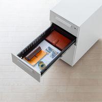 サンワサプライ キャビネット 3段 幅300×奥行534×高さ600mm ホワイト SNW-107W 1台（直送品）