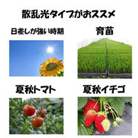 住化積水フィルム 花野果SUN-X 0.15mmX210cmX45m SUN-X 0.15X210X45 1枚（直送品）