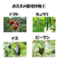 住化積水フィルム 花野果蒼天 0.15mmX460cmX25m 蒼天 0.15X460X25 1枚（直送品）