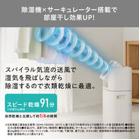 アイリスオーヤマ サーキュレーター衣類乾燥除湿機5.8L デシカント式 湿気 梅雨 カビ 結露 IJDC-P60-C 1台