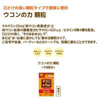 ウコンの力 顆粒（10回分） フルーツ風味 1セット（1個（10本入）×2） スティックタイプ ハウスウェルネスフーズ