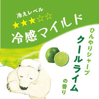 入浴剤 クール キモチ 氷冷バスソルト L シロクマのきもち クールライムの香り 300g（約6回分）1個 グローバルプロダクトプランニング