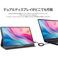 JAPANNEXT 10.5インチ ワイド モバイルディスプレイ JN-MD-IPS105FHDPR 1台