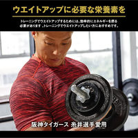 パワープロダクション マックスロード ウェイトアップ チョコレート味 1セット（1袋（850g）×2） プロテイン 増量 グリコ