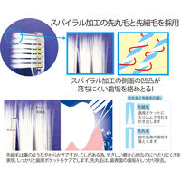 大人のZOO 歯ブラシ スパイラルフラットツイン グレー毛 クリア 6種アソート ふつう 1セット（6本入×5個） ラピス