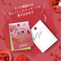 【数量限定ギフト】 入浴剤 スウィーツメゾン コンビネーションマカロンフィズ コートゥリー2個セット ストロベリー 1個 ノルコーポレーション