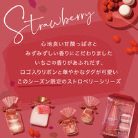 【数量限定ギフト】 入浴剤 スウィーツメゾン バスビーズ&マカロンフィズ 2個セット ストロベリー 1個 ノルコーポレーション