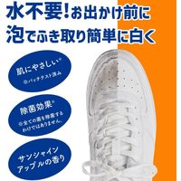 洗浄力 水のいらない スニーカークリーナー 150mL 1個 エステー