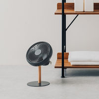 ミニリビングファン LEDライト付き DG PBAF003-DG 1台