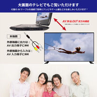 アーウィンジャパン アーウィン14型ポータブルDVD&マルチプレーヤー APD-143N 1台（直送品）