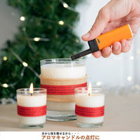 BICジャパン 電子式ライター イージーリーチ点火ライター 20本入り J38L-EZR 1セット(20本)（直送品）