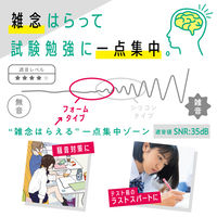 ソニック 集中耳栓 フォームタイプ ケース付 グレー SP-8901-GL 1個