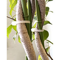 ジャステム ツイストナイロンケーブルタイ 200mm ホワイト 23030101 1セット(100本入)（直送品）