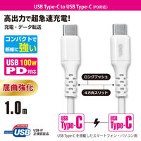 オーム電機 PD対応 C TO 10PDーW 01-7194 1個