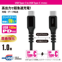 オーム電機 PD対応 C TO 10PDーK 01-7197 1個