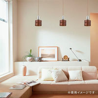 オーム電機 ペンダントライトYE26ーDB 06-4170 1個（直送品）