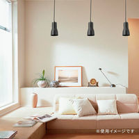 オーム電機 ペンダントライトYSE26ーK 06-4172 1個