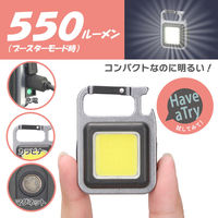 オーム電機 コンパクトCOBライトLHーCT55A5 08-1522 1個