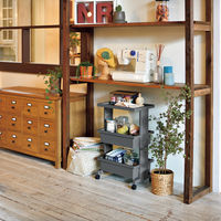 天馬 ポリループ ワゴンダークグレー 811001150 1個