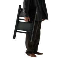 天馬 アルミ踏み台スリム2段レッド 812004234 1個