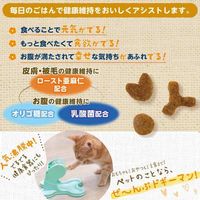 まいにちでるでるごはん お腹と皮膚・被毛の健康ケア お肉ミックス 国産 200g 1袋 ドギーマン キャットフード