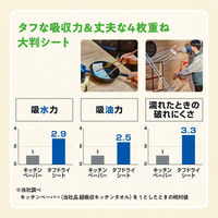 ペーパータオル プロワイプ OUTDOOR タフドライシート チャムス 1パック 50組（4枚重ね）大王製紙