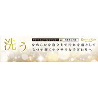 クイック＆リッチ トリートメントインシャンプー 愛犬用 フォレストグリーン 詰め替え用 360ml 1個 ライオンペット
