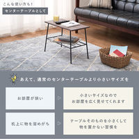 【軒先渡し】萩原 ラック 幅500×奥行240×高さ350mm ホワイト KR-3854WH 1台（直送品）