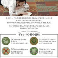 イケヒコ・コーポレーション ラグ い草 ギャベ 抗菌防臭 セレナCP 2610×2610mm レッド 1030840240402 1枚（直送品）