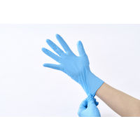 アイリスオーヤマ 使い捨て手袋 ニトリル手袋 Lサイズ RNBR-100L 1箱（100枚入）