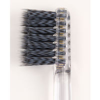 大人のZOO 歯ブラシ スパイラルフラットツイン チャコール毛 クリア 6種アソート ふつう 1個（6本入） ラピス