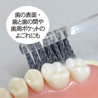 歯科用歯ブラシ スパイラルツイン チャコール毛 クリア 1セット（6本入×5個） ラピス