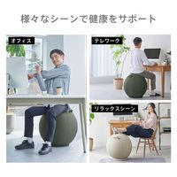 キングジム 台座付きバランスボール AHC030-BE 1個