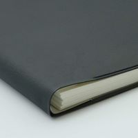 コレクト 4月版ウィークダイアリーA4 D-4634(2024) 1冊（直送品）