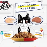 ピュリナ フィリックス 総合栄養食 ダブルのおいしさ チキン＆ビーフ 50g 48袋 キャットフード パウチ ネスレ日本
