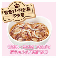 ミャウミャウ ジューシー 成猫用 ふっくらしらす ゼリータイプ 60g 1セット（1袋×24）アイシア キャットフード