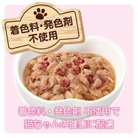 ミャウミャウ ジューシー 成猫用 やわらかビーフ ゼリータイプ 60g 1セット（1袋×24）アイシア キャットフード