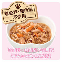 ミャウミャウ ジューシー 成猫用 しっとりサーモン ゼリータイプ 60g 1セット（1袋×12）アイシア キャットフード