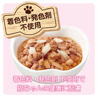 ミャウミャウ ジューシー 成猫用 ごちそうたい ゼリータイプ 60g 1セット（1袋×12）アイシア キャットフード