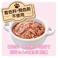 ミャウミャウ ジューシー 成猫用 お肉とお魚ミックス かつお入り ゼリータイプ 60g 1セット（1袋×12）アイシア キャットフード
