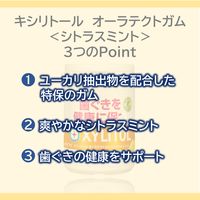 【特定保健用食品（トクホ・特保）】キシリトール オーラテクトガム＜シトラスミント＞スリムボトル 1セット（1個×6） ロッテ ガム